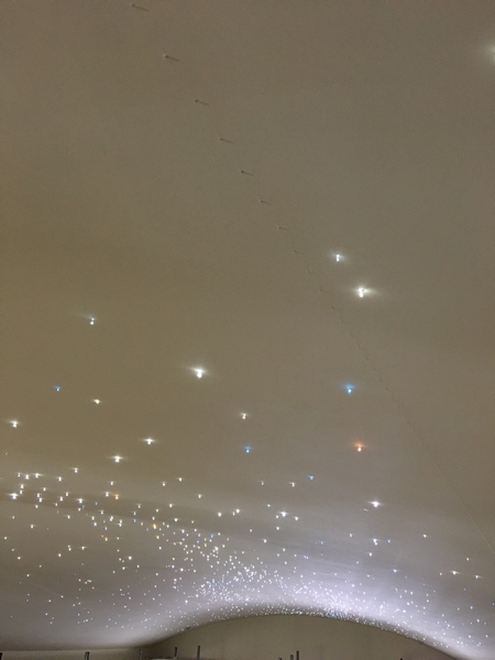 Optical Fiber Lighting New Case Art